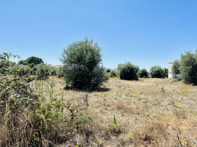 Terreno para Venda em São Miguel do Rio Torto e Rossio Ao Sul do Tejo Foto 1