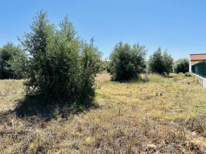 Terreno para Venda em São Miguel do Rio Torto e Rossio Ao Sul do Tejo Foto 5