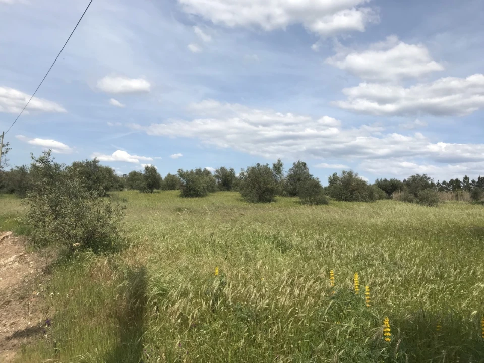 Terreno para Venda em Pego Foto 6