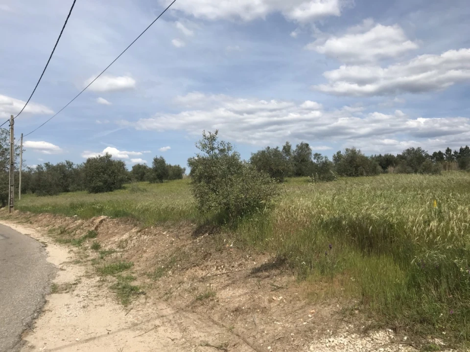 Terreno para Venda em Pego Foto 8