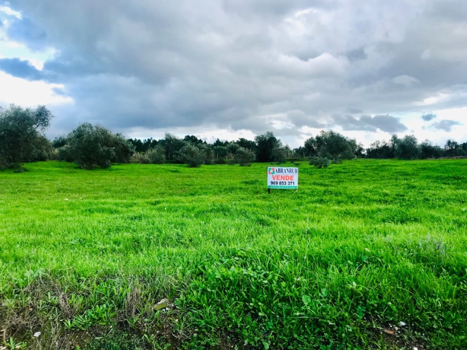 Terreno para Venda em Pego Foto 10