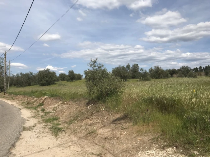 Terreno para Venda em Pego Foto 8