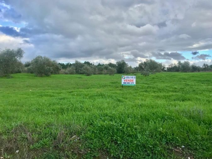 Terreno para Venda em Pego Foto 1