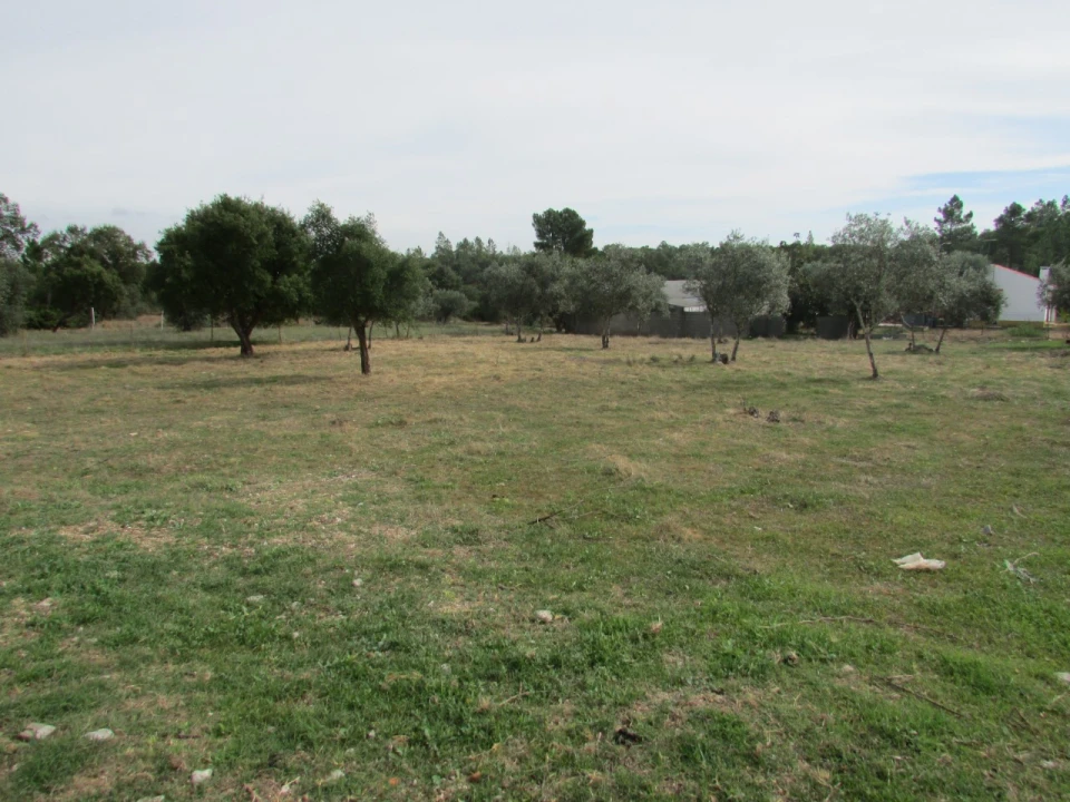 Terreno para Venda em Pego Foto 1
