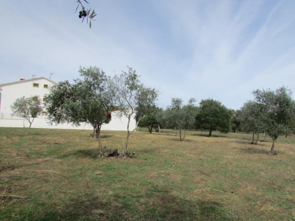 Terreno para Venda em Pego Foto 8