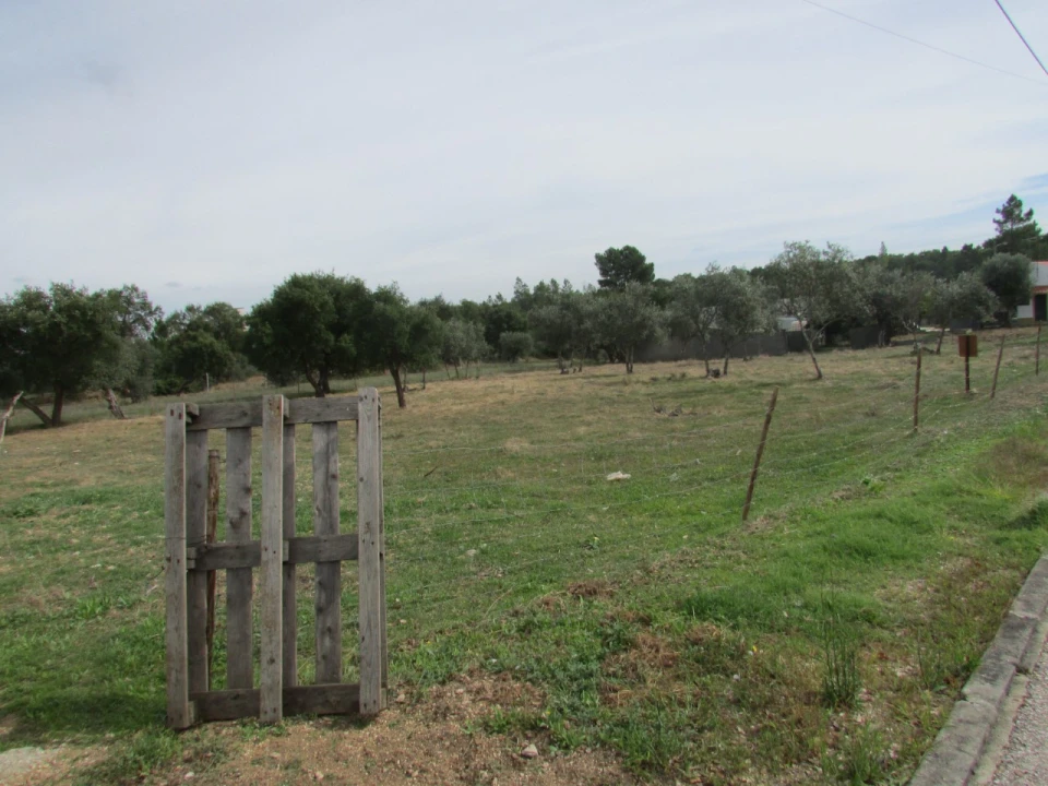 Terreno para Venda em Pego Foto 10