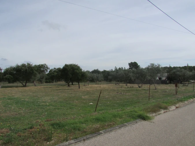 Terreno para Venda em Pego Foto 2