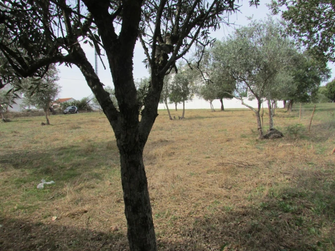 Terreno para Venda em Pego Foto 4