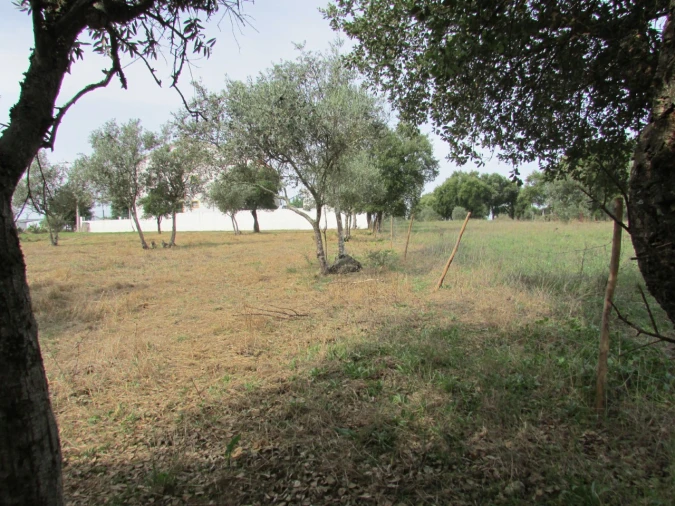 Terreno para Venda em Pego Foto 5