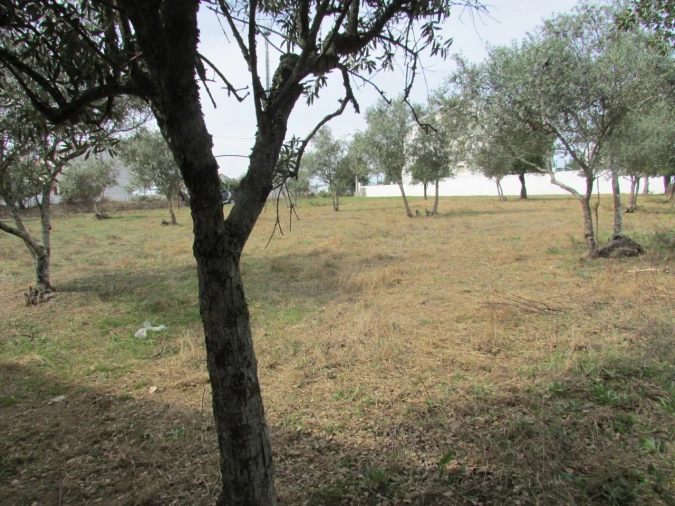 Terreno para Venda em Pego Foto 7
