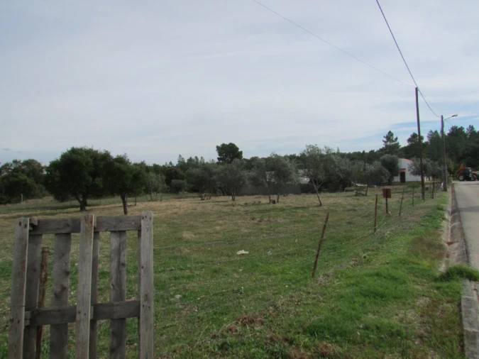 Terreno para Venda em Pego Foto 9