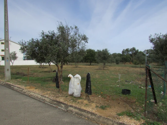 Terreno para Venda em Pego Foto 11