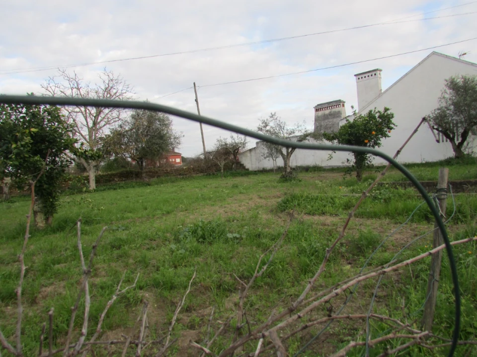 Terreno para Venda em Alvega e Concavada Foto 3