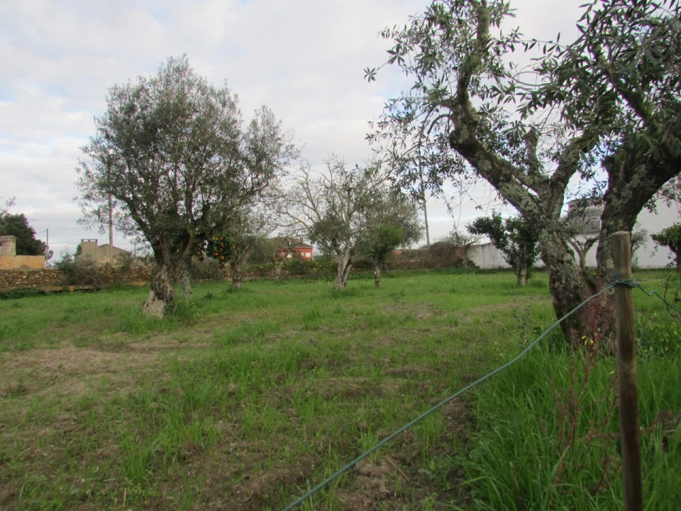 Terreno para Venda em Alvega e Concavada Foto 8