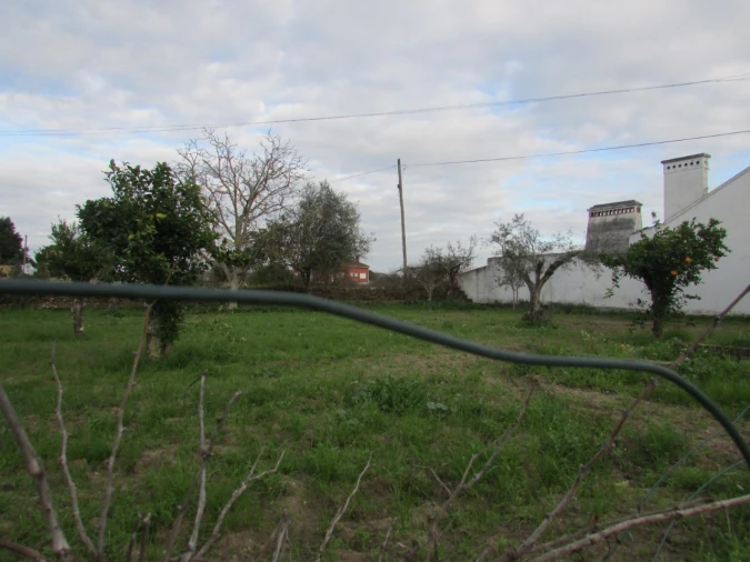 Terreno para Venda em Alvega e Concavada Foto 2