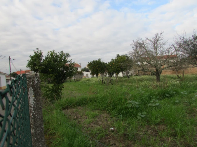Terreno para Venda em Alvega e Concavada Foto 6