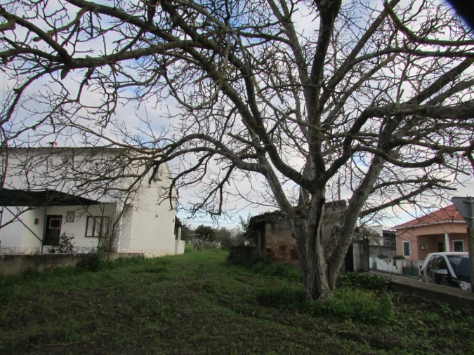 Terreno para Venda em Alvega e Concavada Foto 9