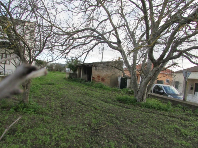 Terreno para Venda em Alvega e Concavada Foto 11