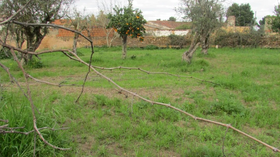 Terreno para Venda em Alvega e Concavada