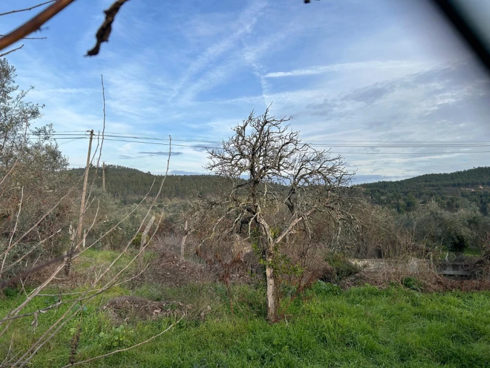Terreno para Venda em Alvega e Concavada Foto 6