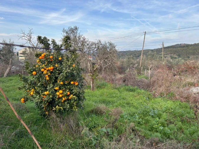 Terreno para Venda em Alvega e Concavada Foto 12