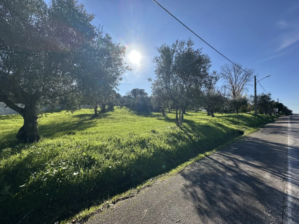 Terreno para Venda em Constancia Foto 2