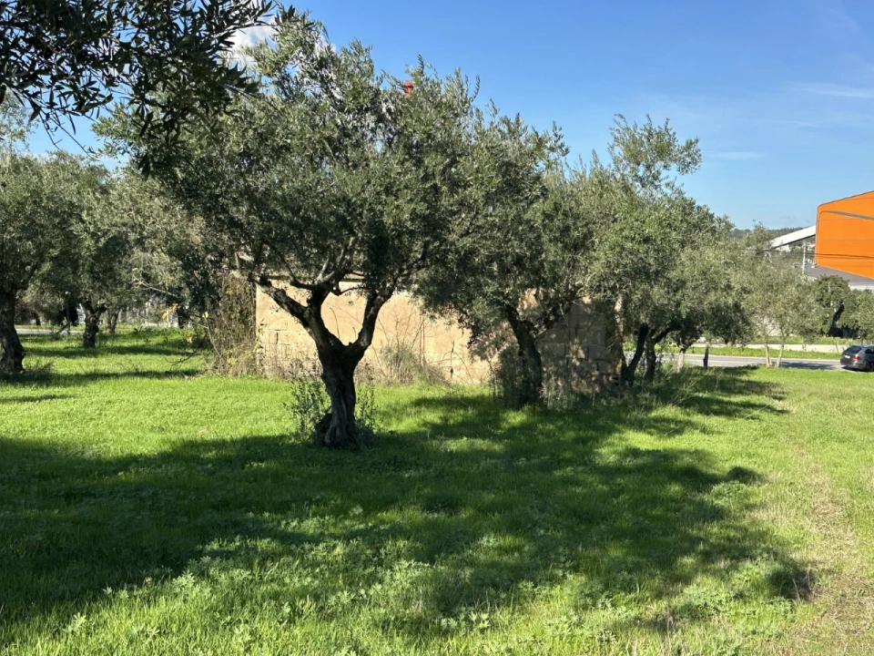 Terreno para Venda em Constancia Foto 7