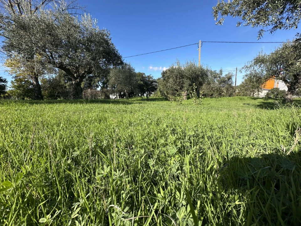 Terreno para Venda em Constancia Foto 12
