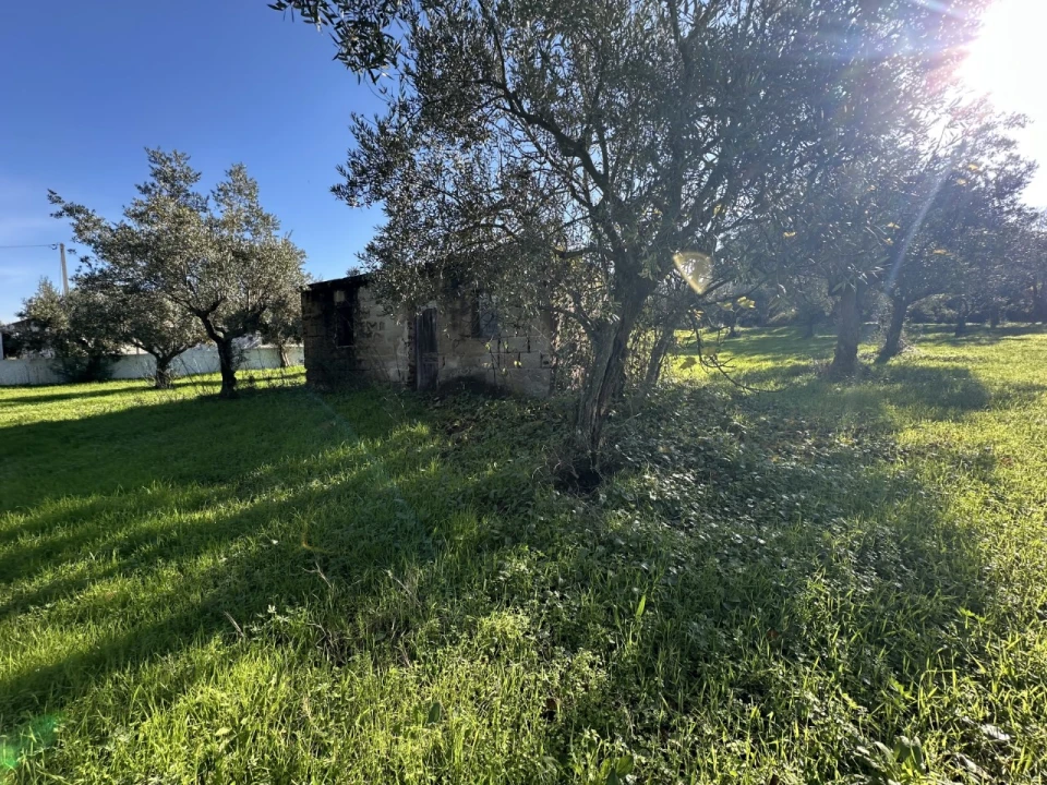 Terreno para Venda em Constancia Foto 14