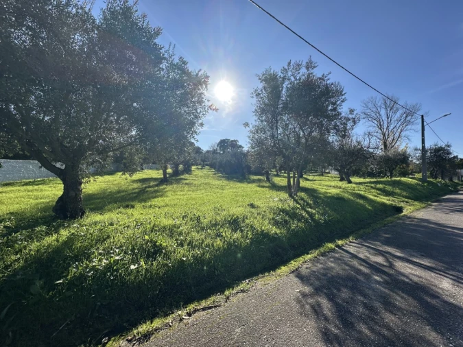 Terreno para Venda em Constancia