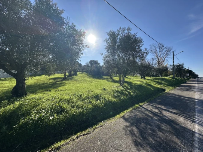 Terreno para Venda em Constancia Foto 2