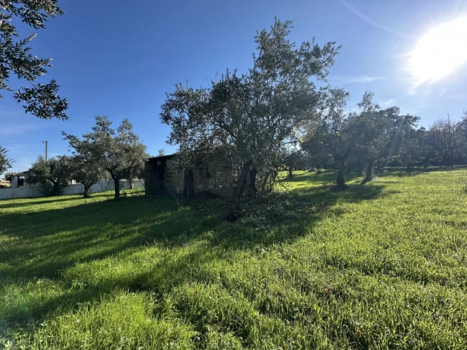Terreno para Venda em Constancia Foto 9