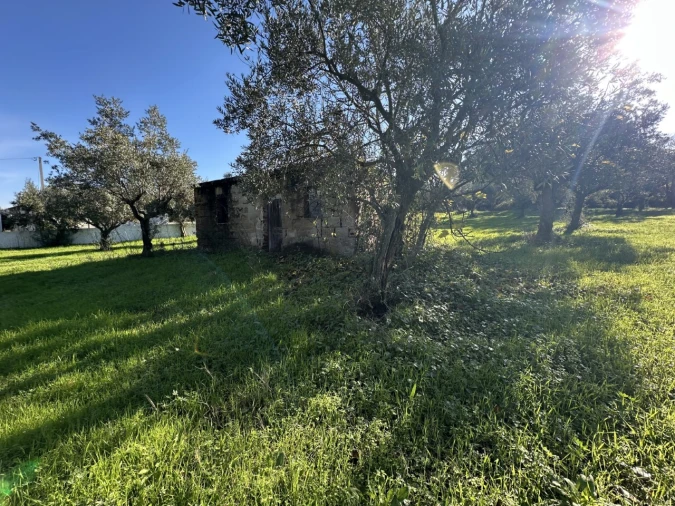 Terreno para Venda em Constancia Foto 14
