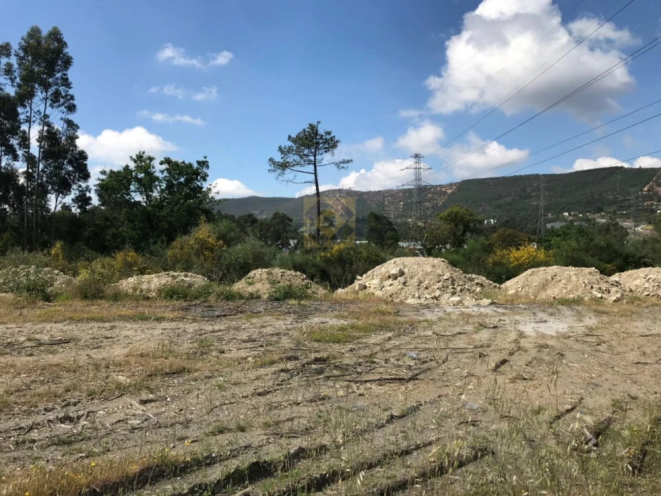 Terreno para Venda em Campo e Sobrado Foto 2