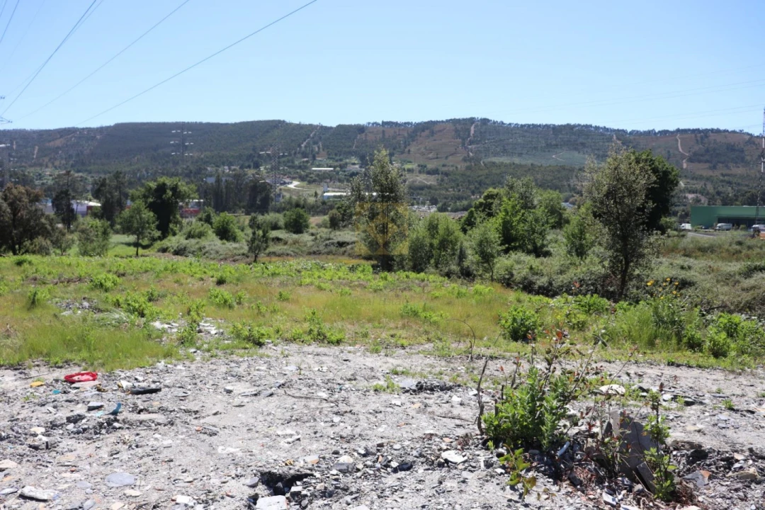 Terreno para Venda em Campo e Sobrado Foto 10