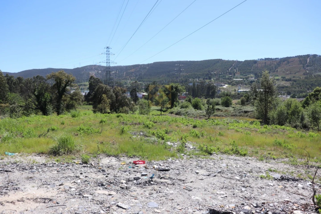 Terreno para Venda em Campo e Sobrado Foto 12