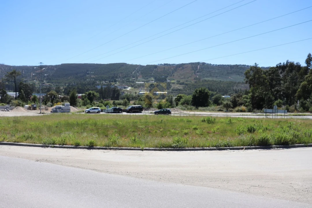 Terreno para Venda em Campo e Sobrado Foto 15