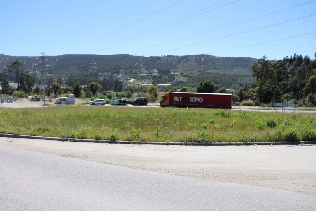 Terreno para Venda em Campo e Sobrado Foto 16