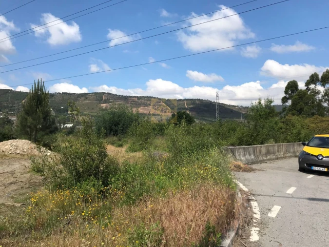 Terreno para Venda em Campo e Sobrado Foto 4