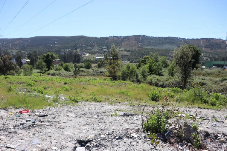 Terreno para Venda em Campo e Sobrado Foto 10