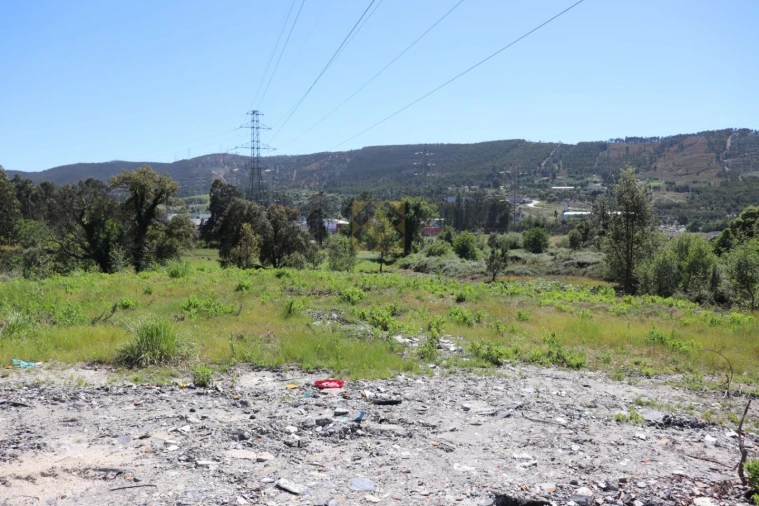 Terreno para Venda em Campo e Sobrado Foto 12
