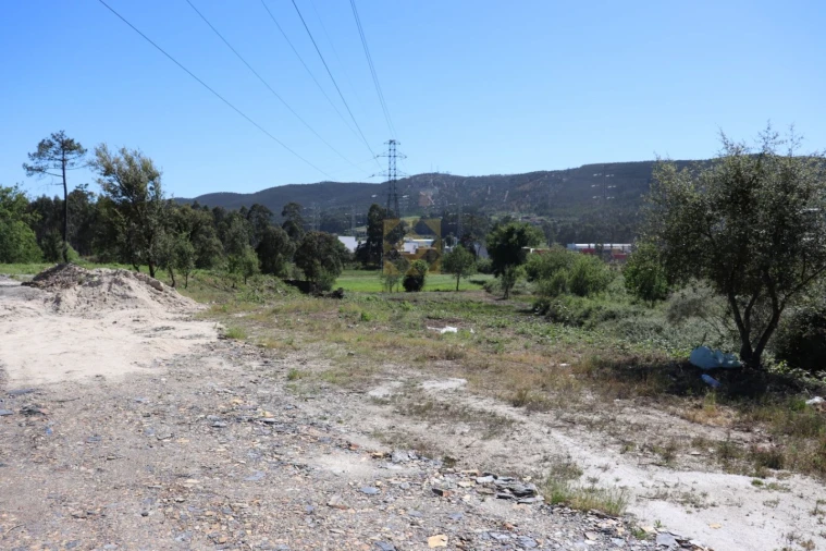 Terreno para Venda em Campo e Sobrado Foto 20