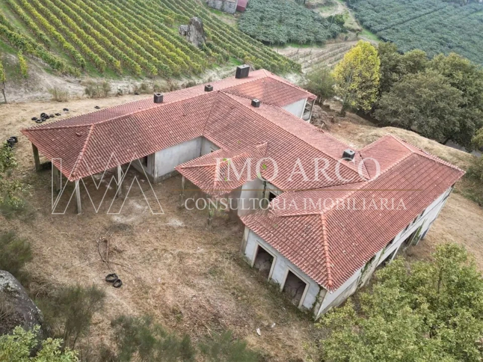 Terreno para Venda em Margaride, Várzea, Lagares, Varziela, Moure Foto 4