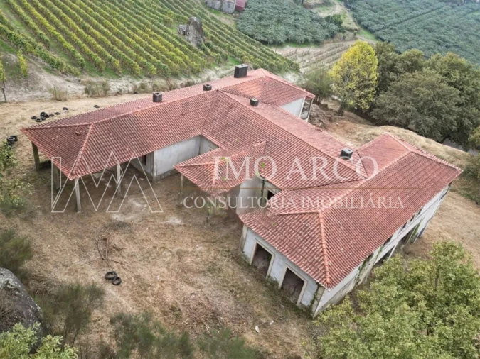 Terreno para Venda em Margaride, Várzea, Lagares, Varziela, Moure Foto 4