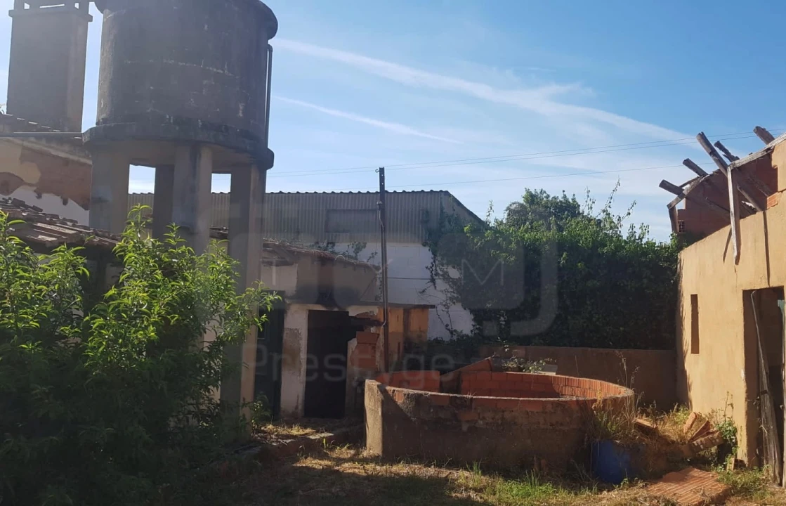 Terreno para Venda em São João Baptista e Santa Maria dos Olivais Foto 11
