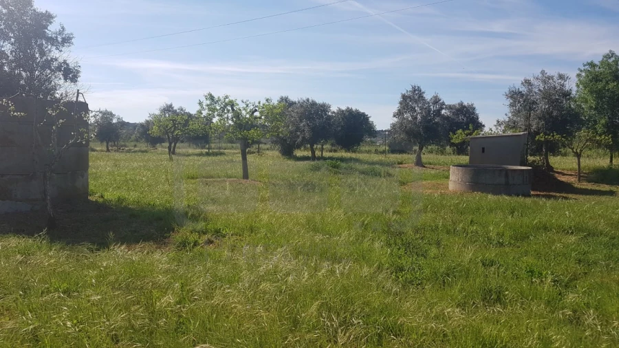 Terreno para Venda em São João Baptista e Santa Maria dos Olivais Foto 8