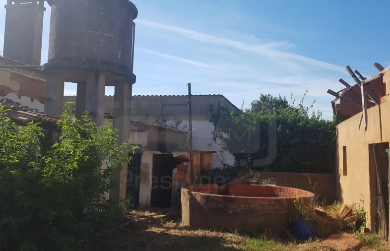 Terreno para Venda em São João Baptista e Santa Maria dos Olivais Foto 11