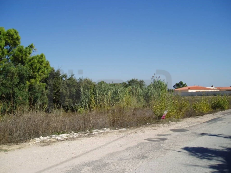 Terreno para Venda em Madalena e Beselga Foto 2