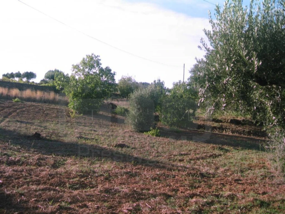 Terreno para Venda em Casais e Alviobeira Foto 4