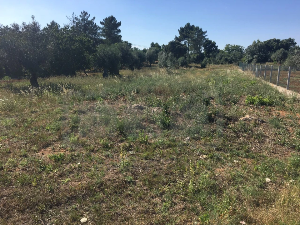Terreno para Venda em Casais e Alviobeira Foto 2